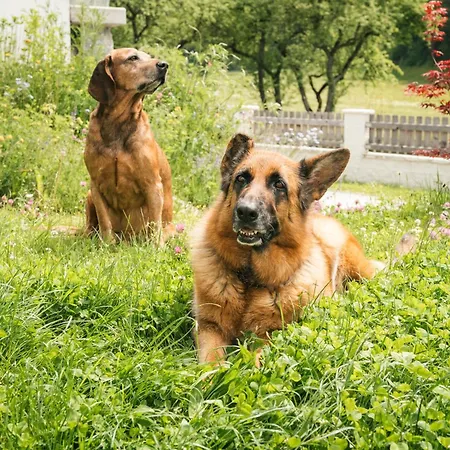 Edenhauserhof 4* Neu Gotzens