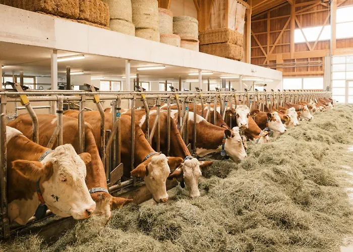 Edenhauserhof فندق مبيت وإفطار