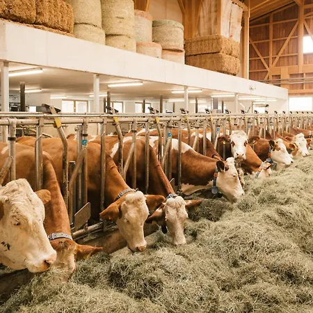 Edenhauserhof Bed & Breakfast