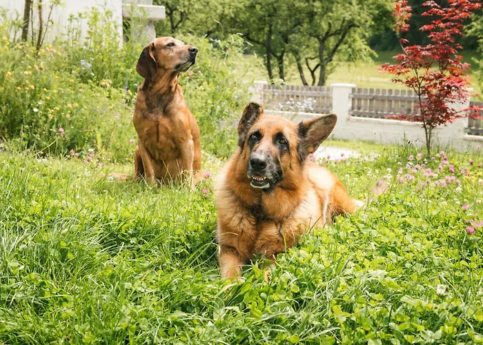 Edenhauserhof 4* Neu Gotzens